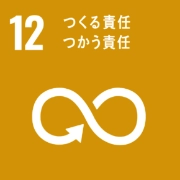 SDGs-12